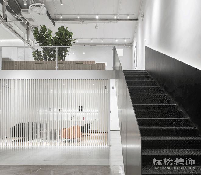 辦公室植物擺放植物有哪些，怎么擺放比較好？